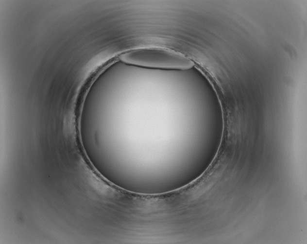 X0000112411072200908141355