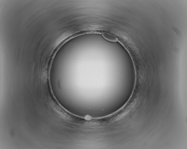 X0000112411073200908141355