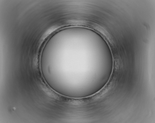 X0000112411074200908141355