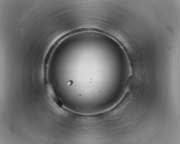 X0000112411076200908141355