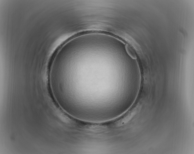 X0000112411077200908141355