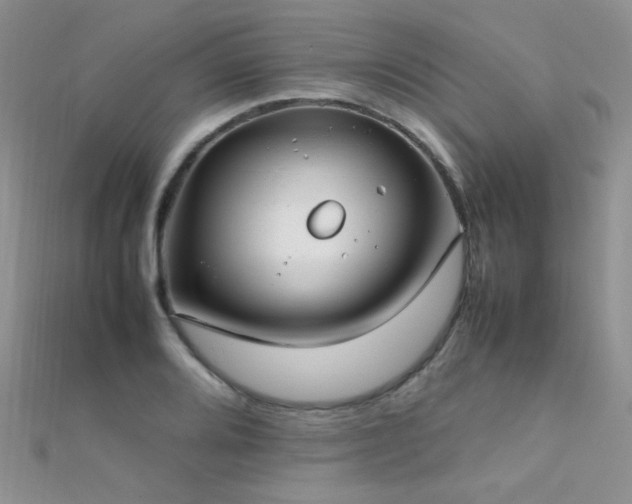 X0000112411080200908141355