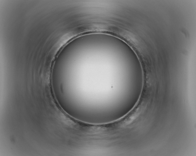 X0000112411081200908141355