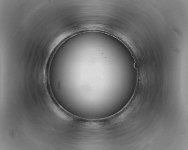 X0000112411082200908141355