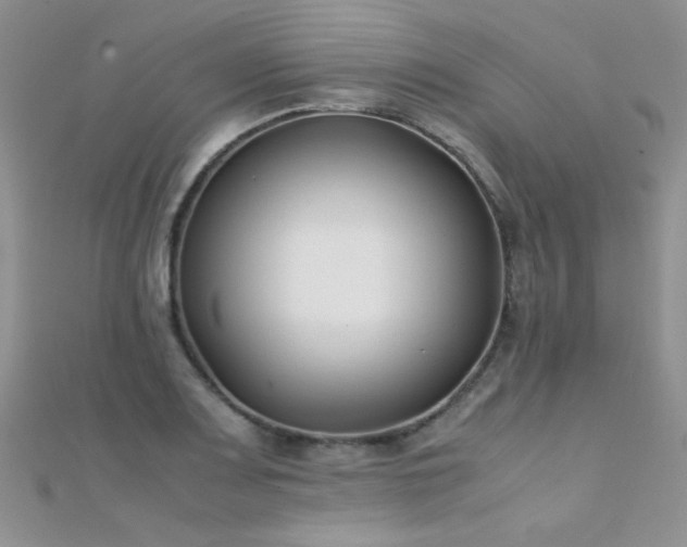 X0000112411083200908141355