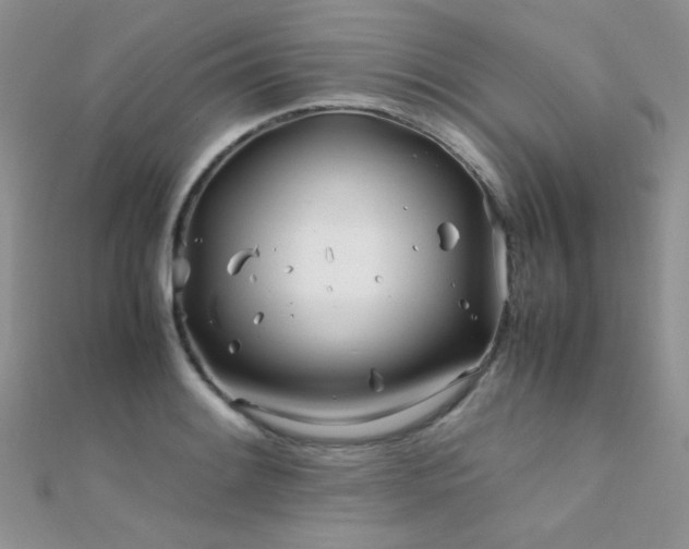 X0000112411084200908141355