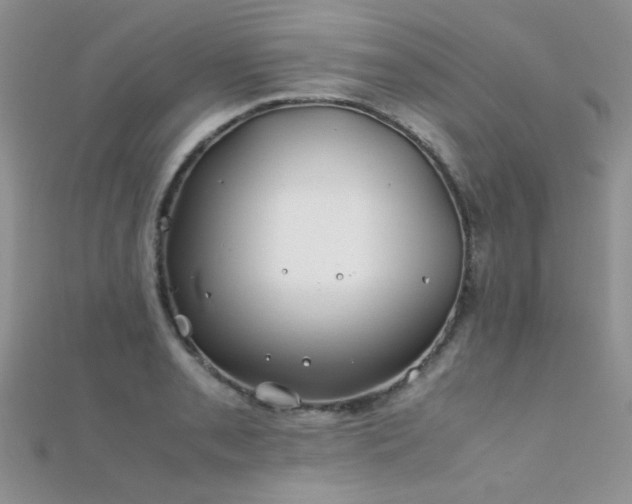 X0000112411085200908141355