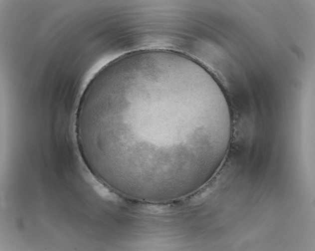 X0000112411086200908141355