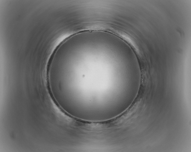X0000112411087200908141355