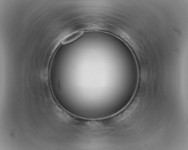X0000112411089200908141355