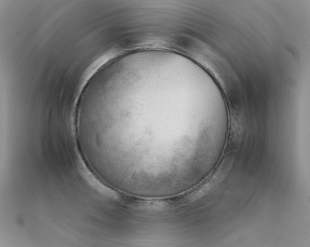 X0000112411090200908141355