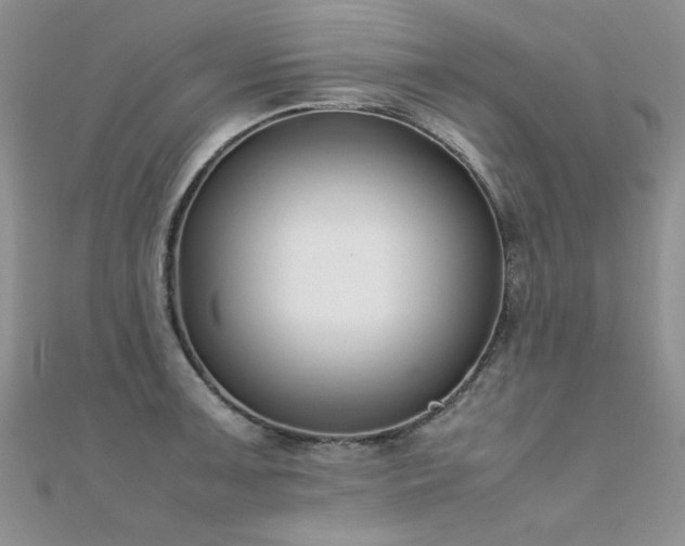 X0000112411091200908141355