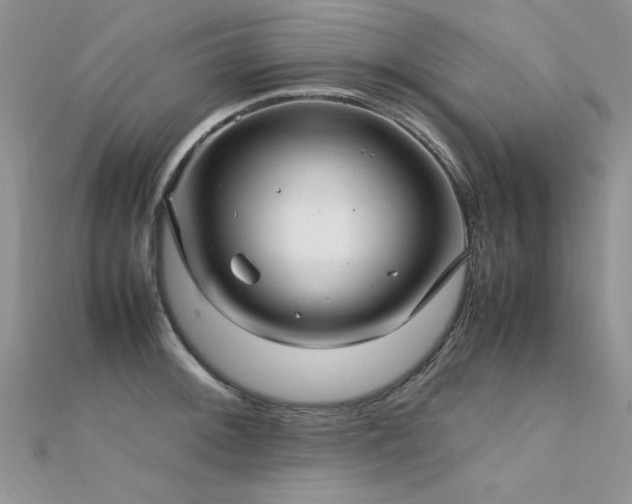X0000112411092200908141355