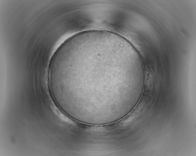 X0000112411094200908141355