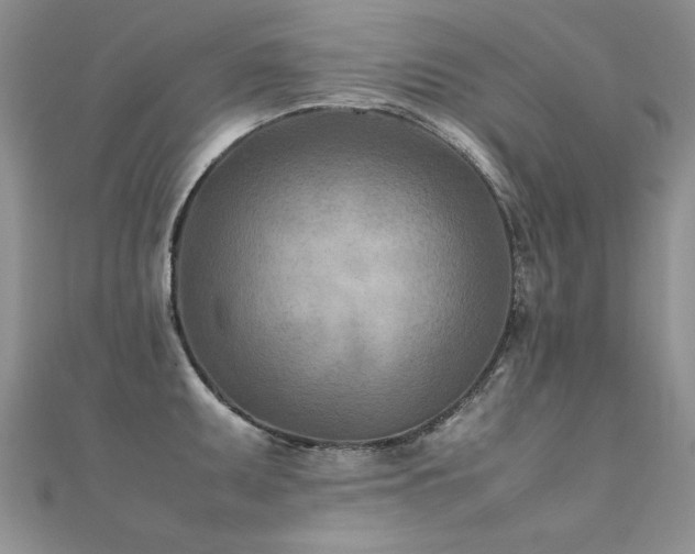 X0000112411095200908141355