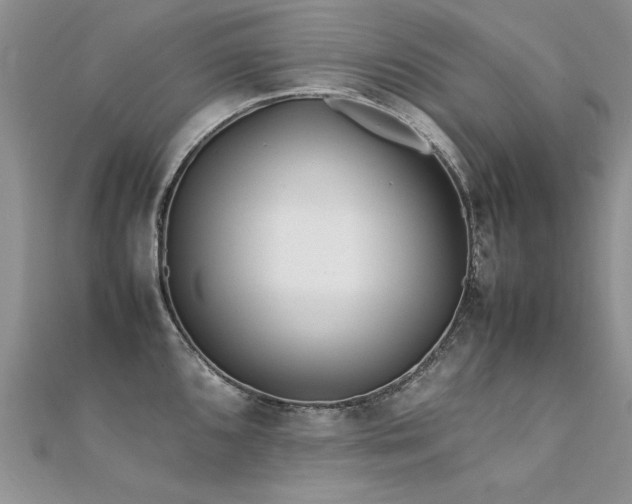 X0000112411096200908141355