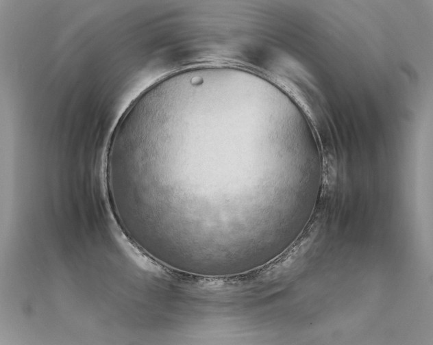 X0000112411098200908141355