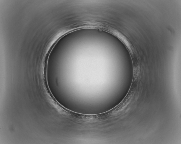 X0000112411099200908141355