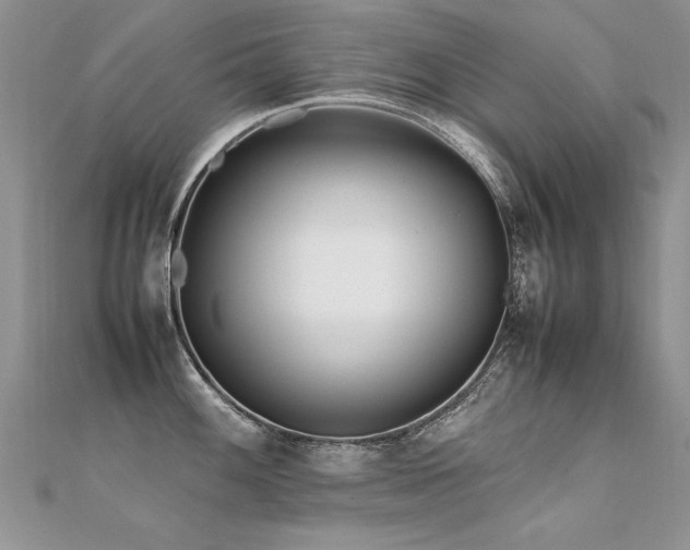 X0000112411100200908141355