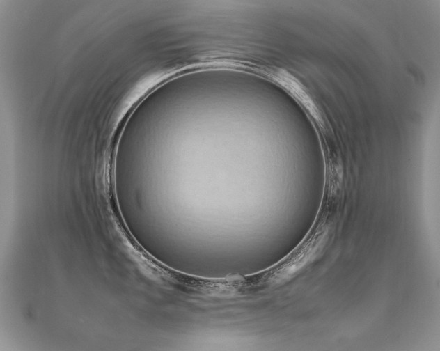 X0000112411101200908141355