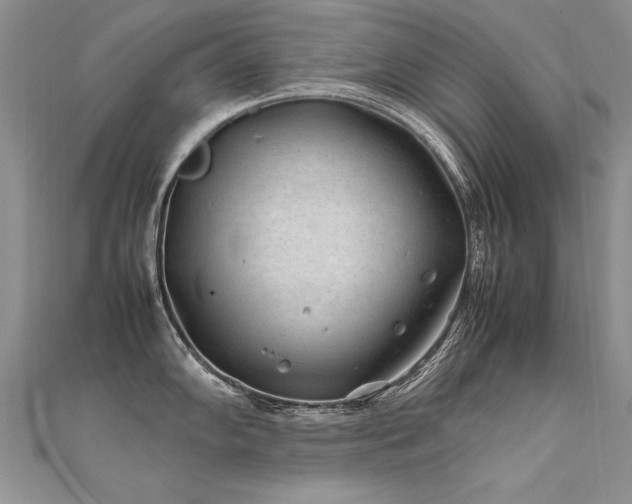 X0000112411102200908141355