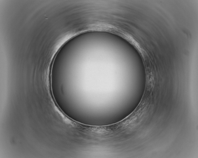 X0000112411103200908141355