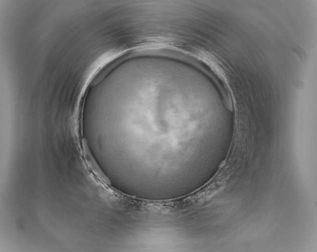X0000112411104200908141355