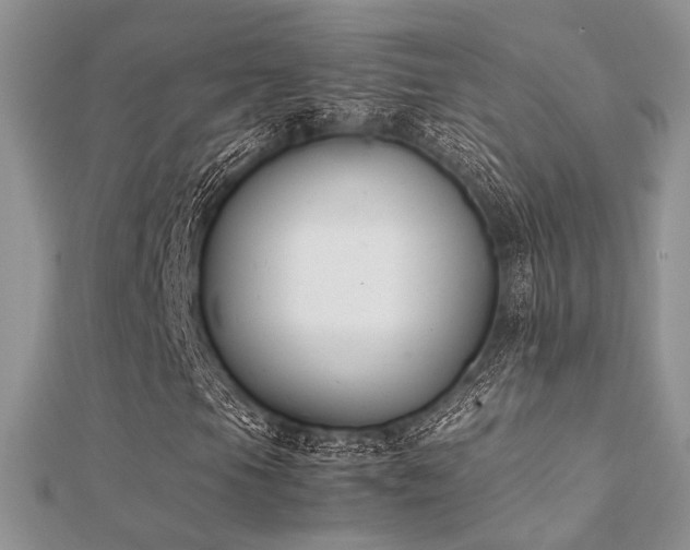 X0000112411105200908141354