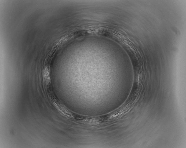 X0000112411106200908141354