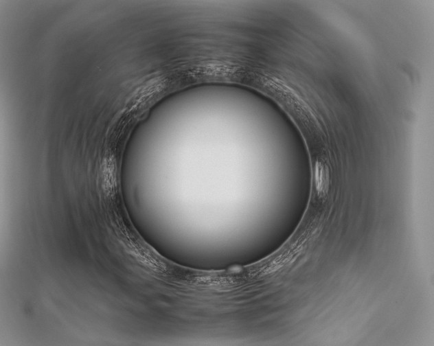 X0000112411107200908141354