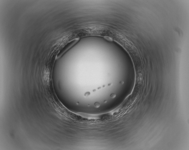 X0000112411108200908141354