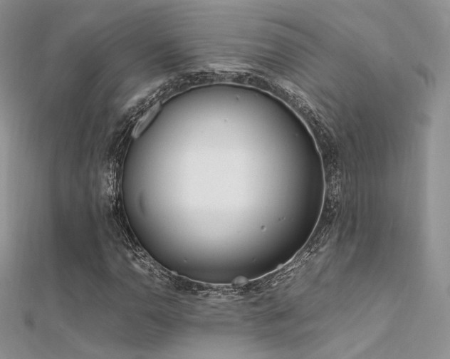 X0000112411110200908141354