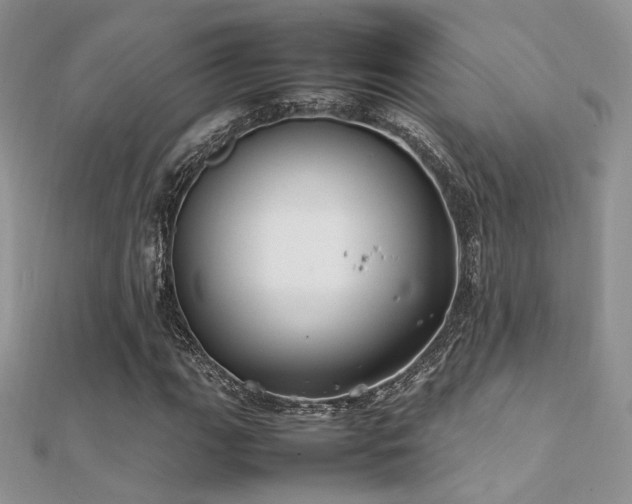 X0000112411111200908141354