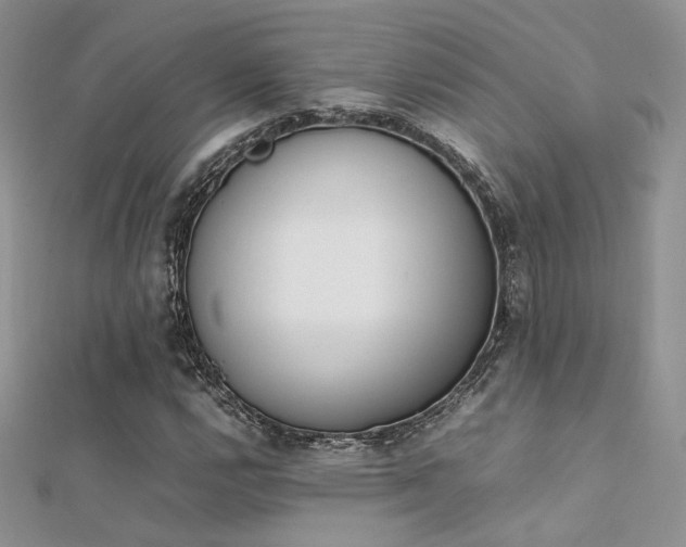 X0000112411112200908141354