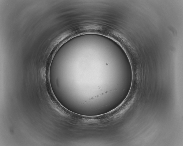 X0000112411113200908141354
