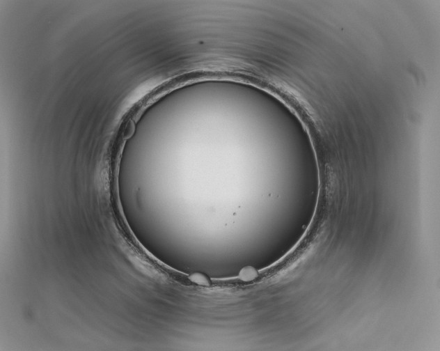 X0000112411114200908141354