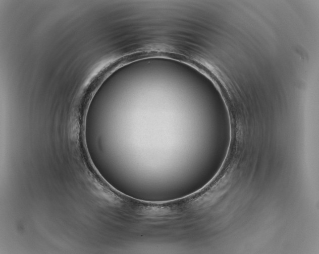 X0000112411115200908141354