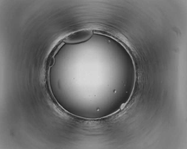 X0000112411116200908141354
