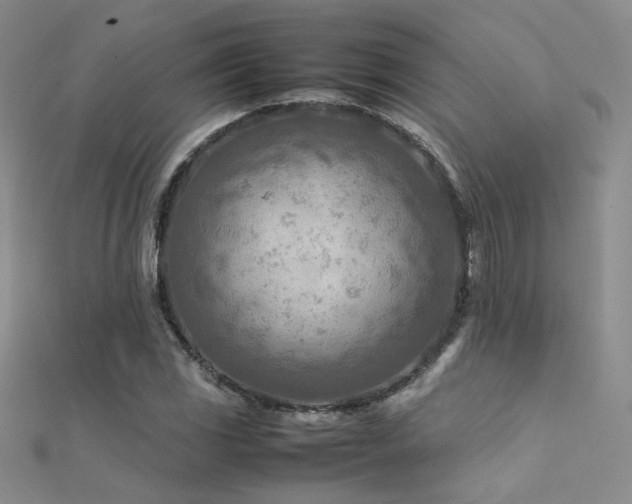 X0000112411117200908141354