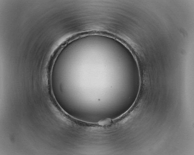 X0000112411118200908141354