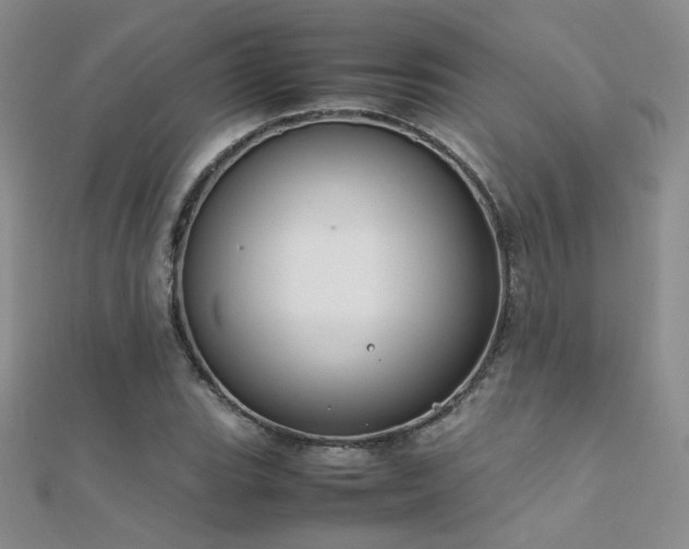 X0000112411119200908141354