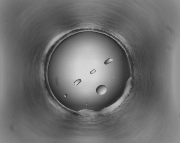 X0000112411120200908141354