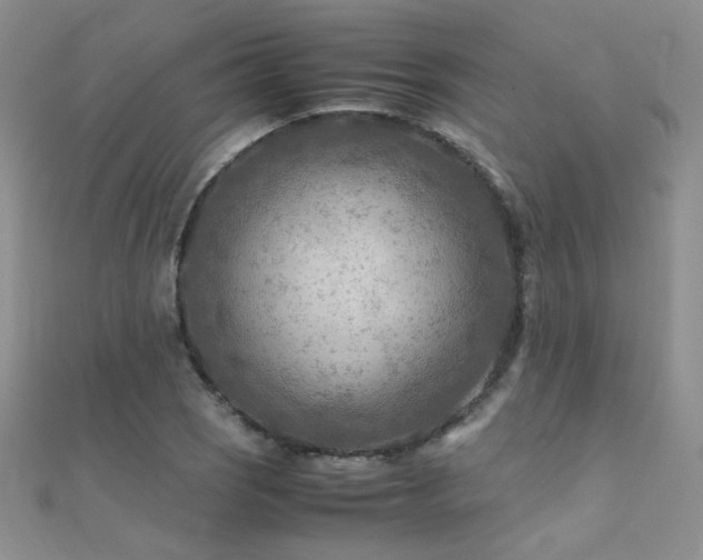 X0000112411121200908141354