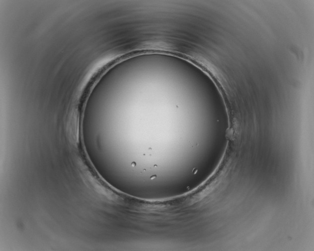 X0000112411123200908141354