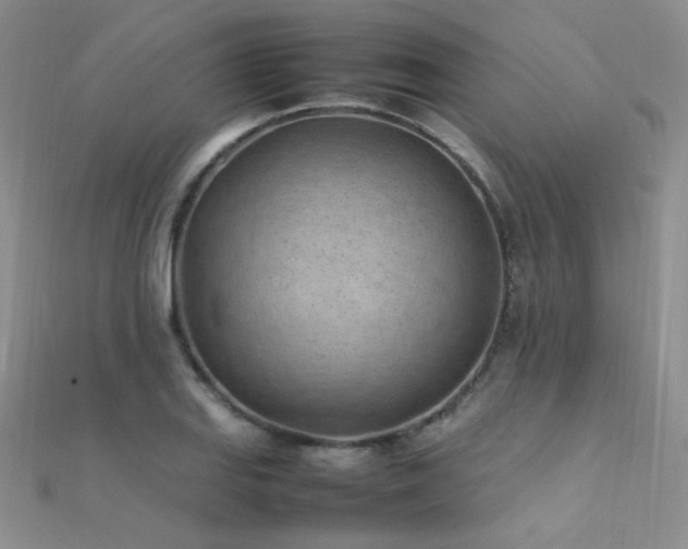X0000112411127200908141354