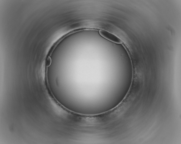 X0000112411128200908141354