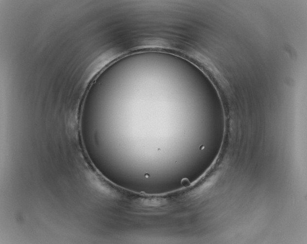 X0000112411129200908141354