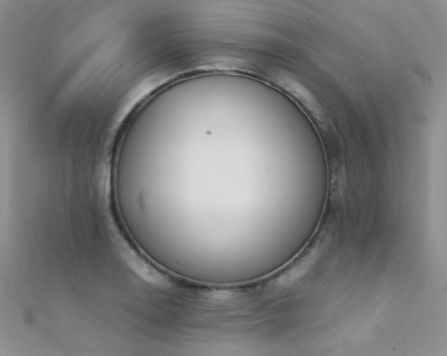 X0000112411130200908141354