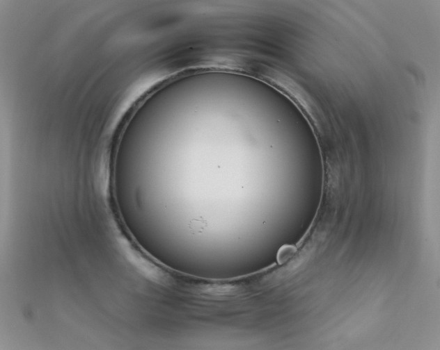 X0000112411131200908141354