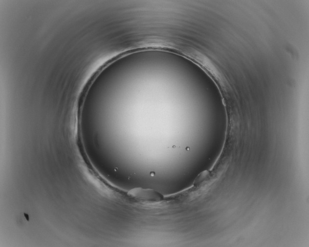X0000112411132200908141354